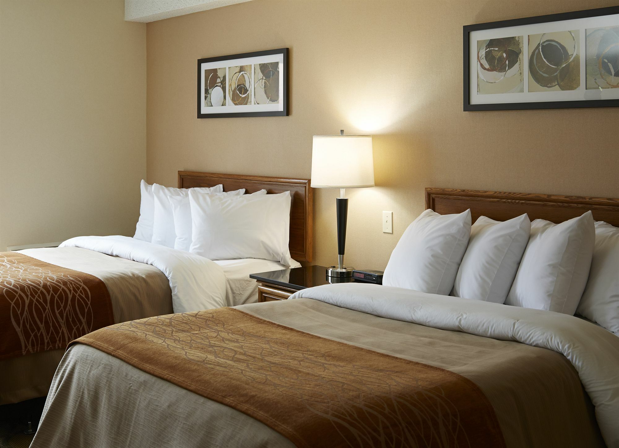 Comfort Inn Hwy 401 Kingston Exteriér fotografie
